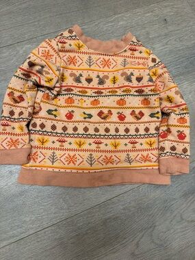 Little Sleepies Peach Fair Isle Knit Pullover with Autumn Motifs